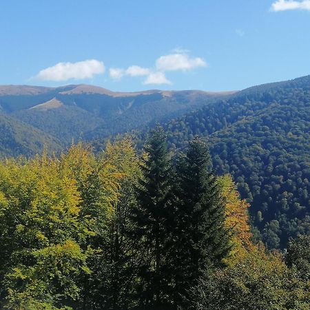 The Rock Appartement Sinaia Buitenkant foto