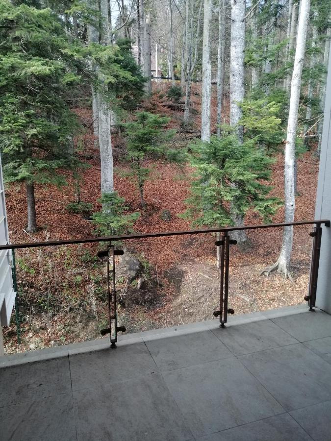 The Rock Appartement Sinaia Buitenkant foto